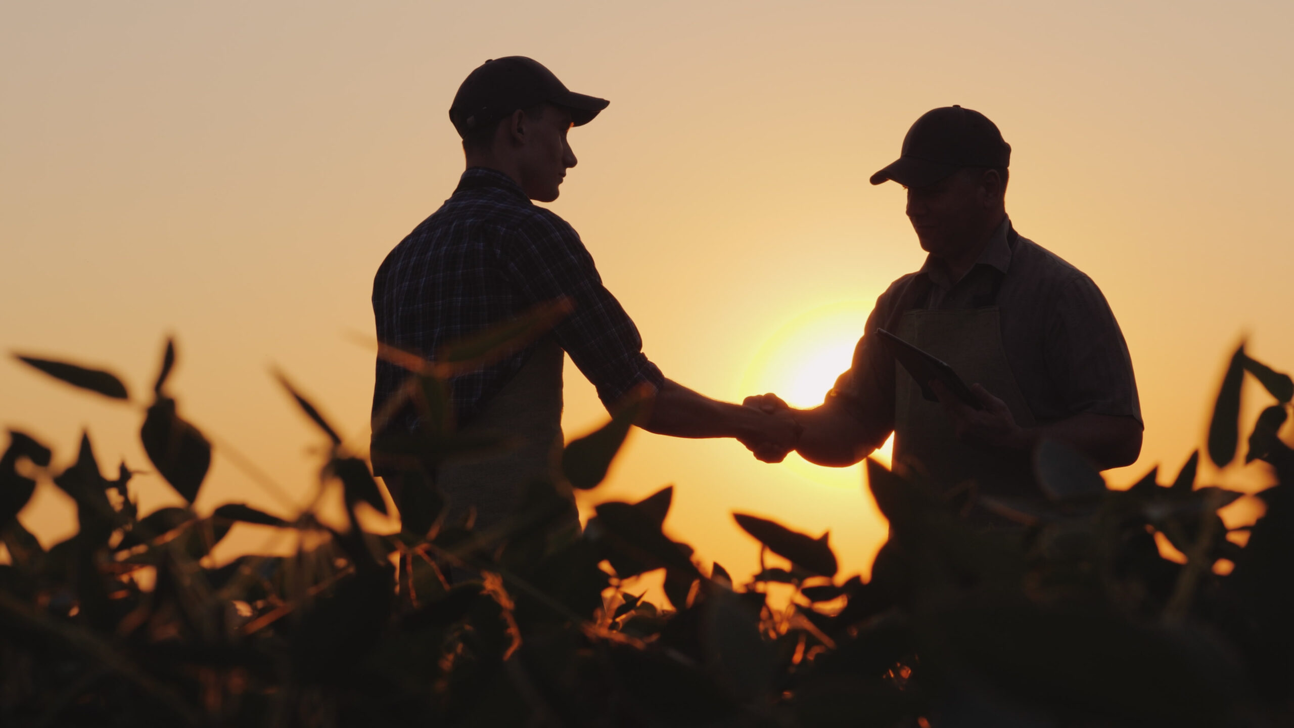 Beneficial Ownership Reporting for Farms